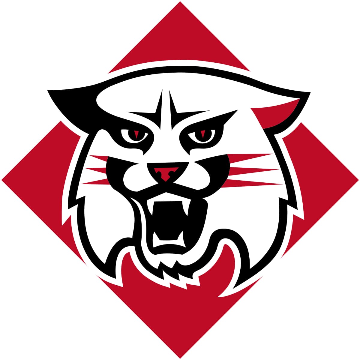 Davidson College mascot logo