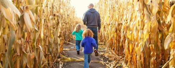 Father and 2 children walking through a corn maze.