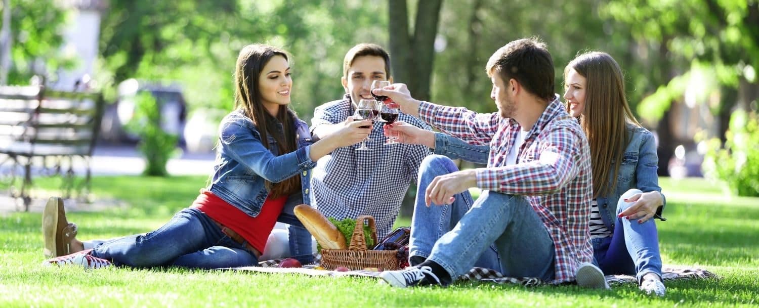 Two couples on a picnic clinking wine glasses while sitting on a blanket in a park