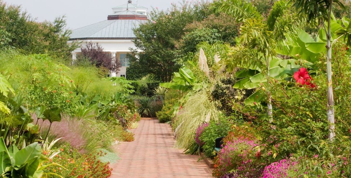 Lush garden pathway at Daniel Stowe Botanical Garden near Davidson, NC, with vibrant flowers and greenery.