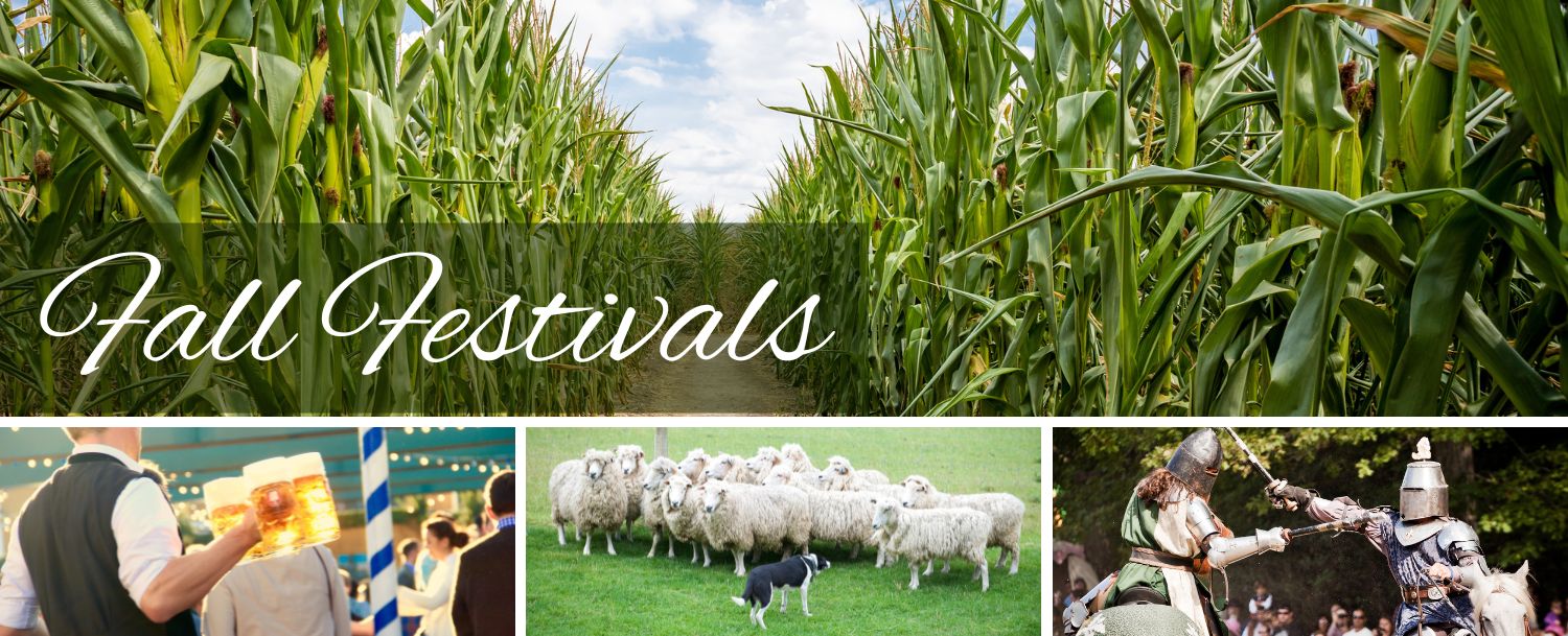 fall festivals including corn maze, sheep and sheepdog, oktoberfest brew, and jousting knights