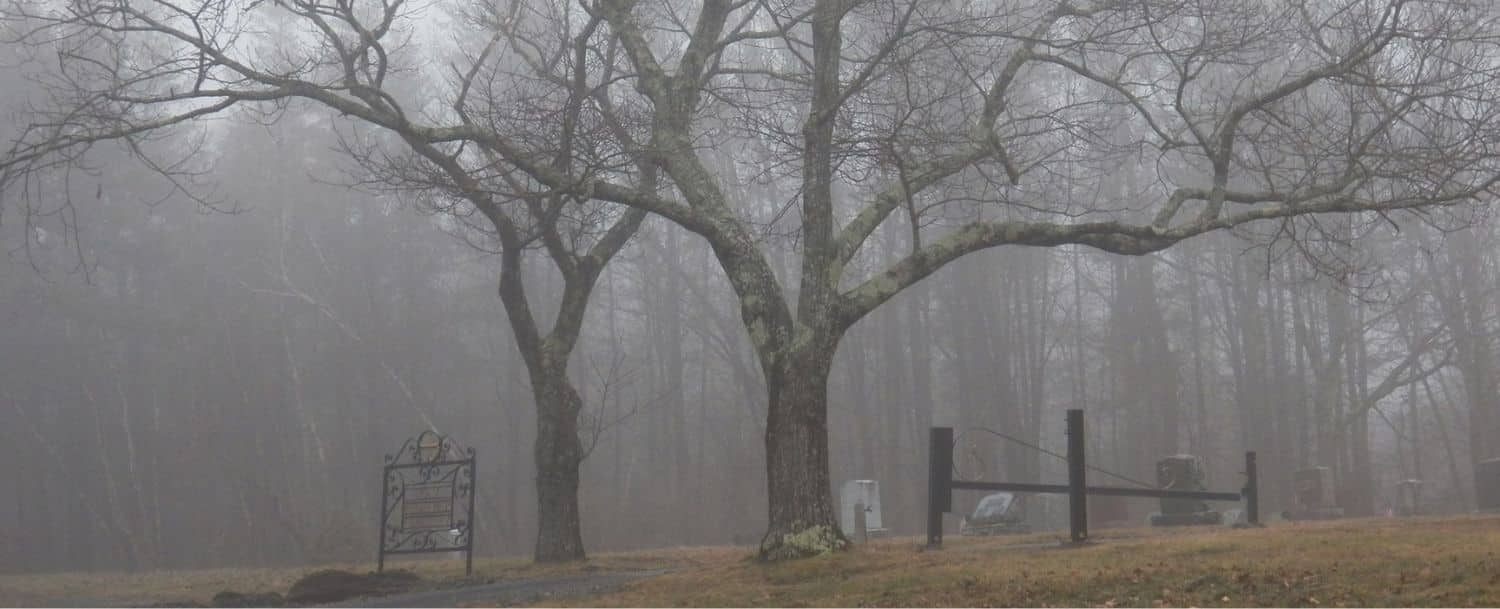 View of a foggy cemetery with leafless trees, headstones, and metal fences.