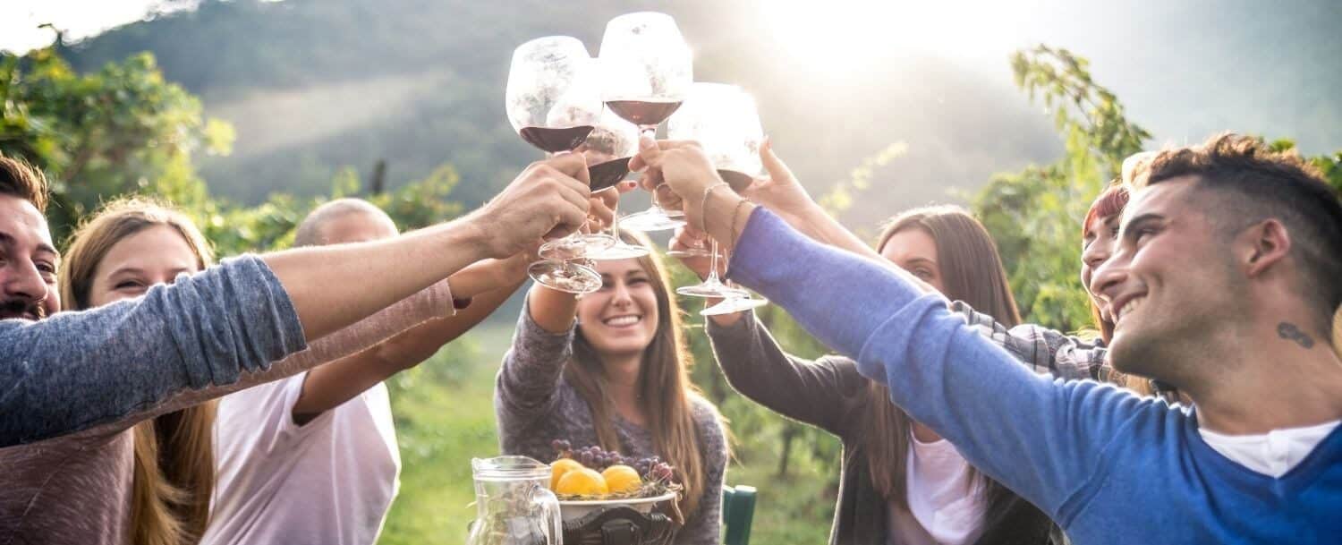 Group of friends gathered at a vineyard toasting wine