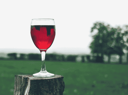 Glass of red wine on a tree stump outside